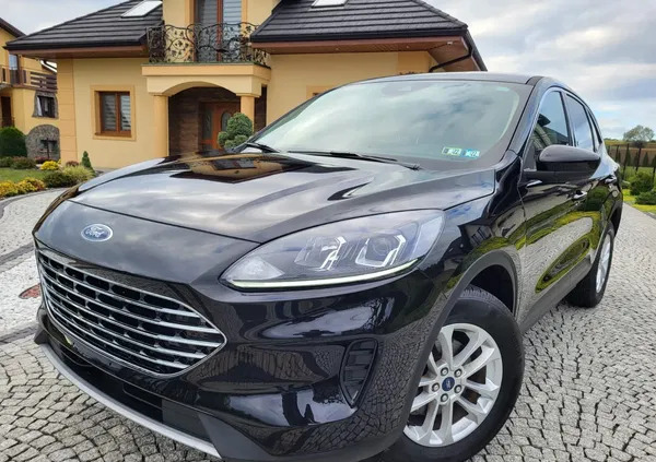 Ford Kuga cena 81500 przebieg: 33000, rok produkcji 2021 z Tarnów małe 436